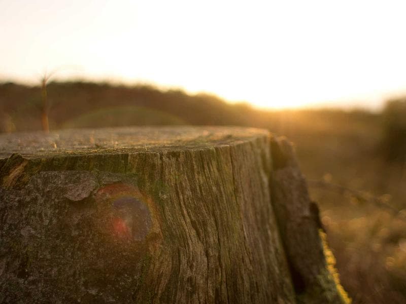 Kyai Sultan yang Romantis, Cuci Baju Sendiri & Selalu Gandeng Istri