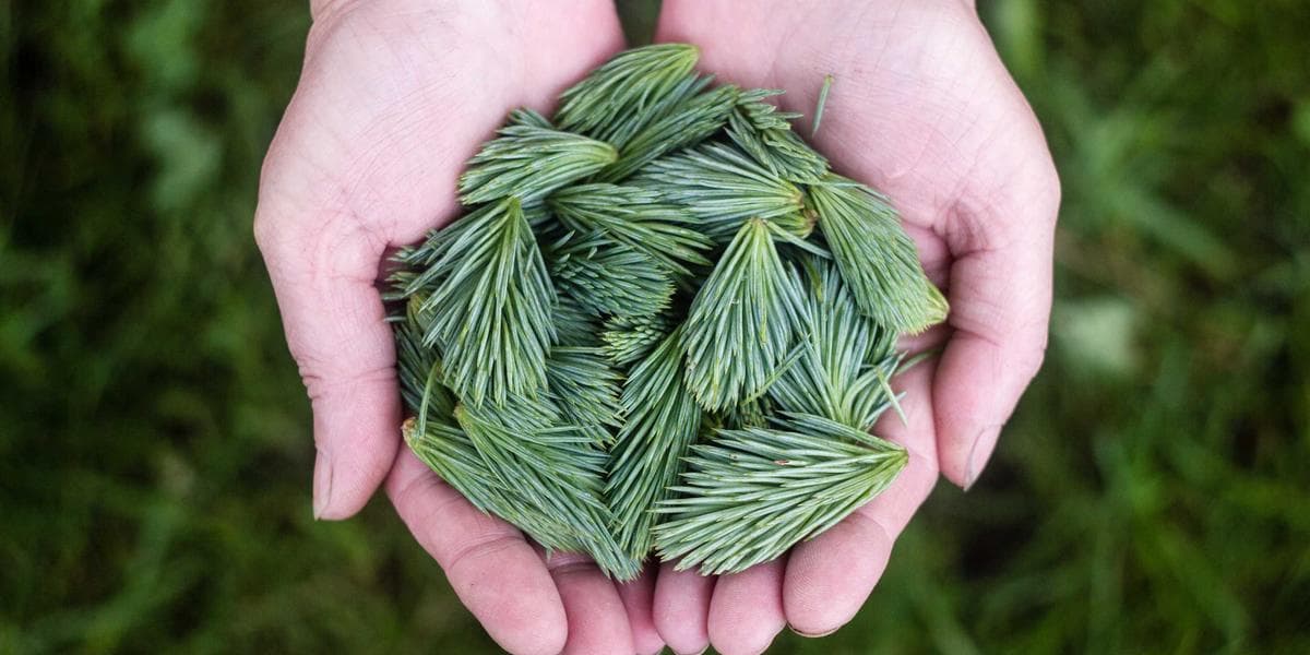 Jalan di Atas Air Sungai Brantas? Ini Karomah Mbah Majid yang Jarang Orang Tahu!