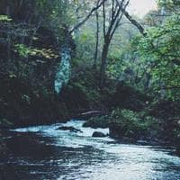 Memahami Peta Faksi Wahidiyah: Kedunglo, Jombang, dan Utara Kedunglo