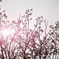 Sejarah dan Dalil Nida' Fafirru Ilallah: Meneladani Seruan Nabi Ibrahim