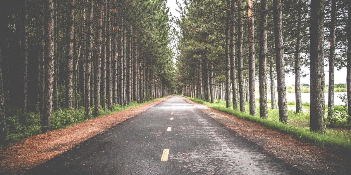 Sengketa Legalitas PSW: Pertarungan Hukum dan Administrasi Wahidiyah