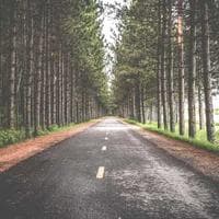 Sengketa Legalitas PSW: Pertarungan Hukum dan Administrasi Wahidiyah